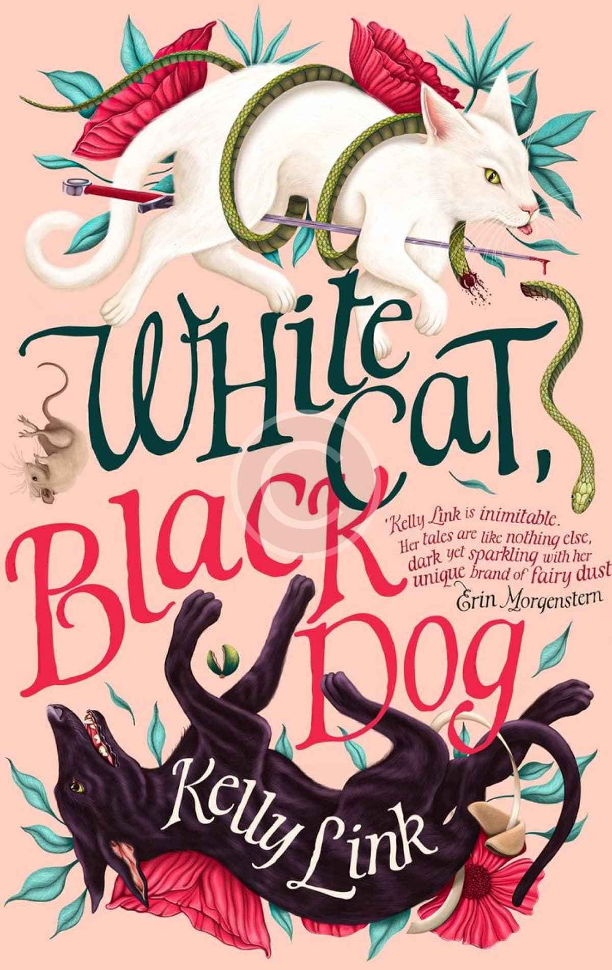 White Cat, Black Dog