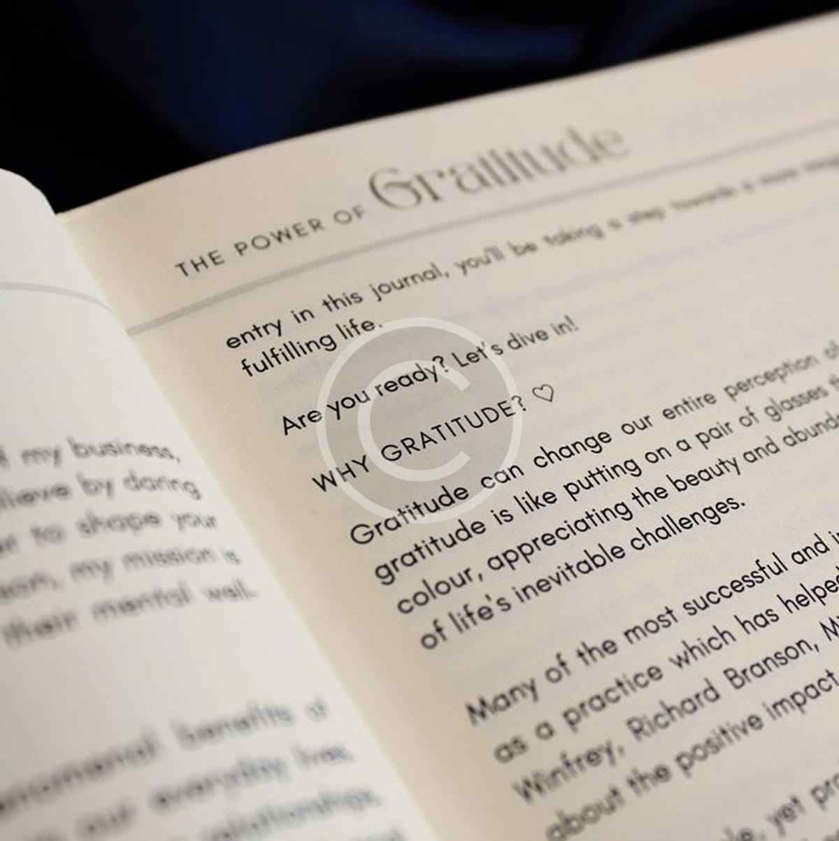 The Big Little Blessings - Image 2